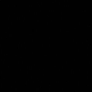 Meet your Posher, Manuela